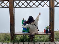 -白草畔自然风景区