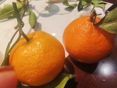 -白洋淀灶台鱼(名佳花园店)