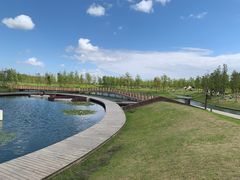 -春花秋色城市公园