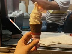 -富豪雪糕车流动点(尖沙咀店)