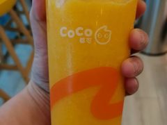 春见柑橘-CoCo都可(常德路店)