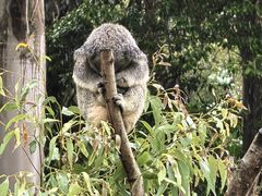 -可伦宾野生动物保护区