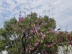 -乌山风景区