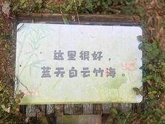 -宁波浙东大竹海景区