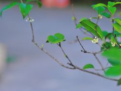 -晓港公园