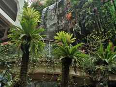-正佳雨林生态植物园