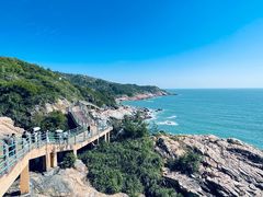 -广东惠东海龟国家级自然保护区