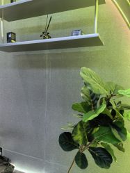 -不迫先生专业男士剪发