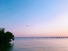 -宝安西湾红树林湿地公园