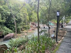 -广州白江湖森林公园