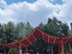 -彩色沙林风景区