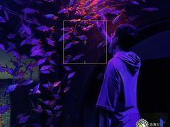 -成都浩海立方海洋公园