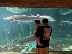 -华夏文旅海洋公园