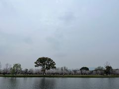 -良渚古城遗址公园