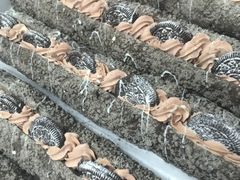 -奈雪的茶(南山大冲一期店)