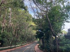 -南国桃园旅游度假区