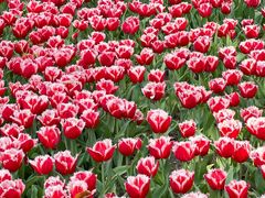 -玄武湖景区-情侣园游乐场