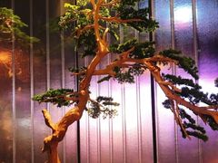 -百富源·海鲜辽菜(和平北大街店)