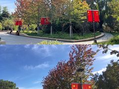 -万泉公园