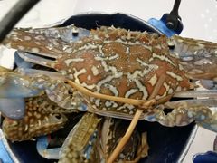 -澜悦港海鲜体验主题餐厅