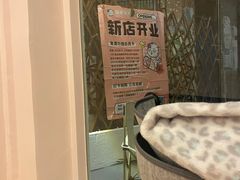 -猫咪派对(江南西店)