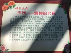 -亚龙湾国际玫瑰谷