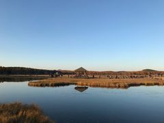 -塞罕坝国家级自然保护区