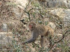 -重庆云阳龙缸景区