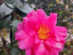 -余姚市灵岩禅寺