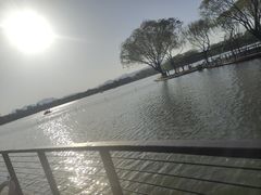 -石家庄市植物园