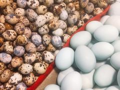 -金宝生活市场(东五环店)