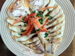 清蒸彩虹斑-九井澤精致料理(金茂店)
