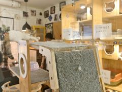 -平行世界·猫咖(首经贸店)