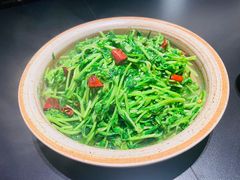 -纯阳•六两酒馆