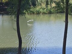 -长广溪湿地公园