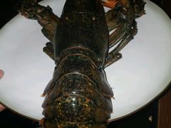 -斯普汇生蚝牛排馆(中骏世界城店)