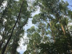 -南国桃园旅游度假区