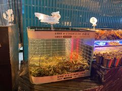 -雍容荟帝王蟹活龙虾展台自助(IFS黑金店)