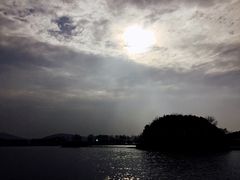 -上海市保健医疗中心(华东疗养院)