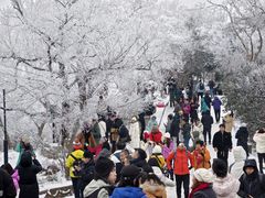 -紫金山山顶公园