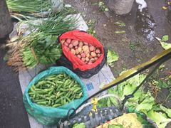 -清远三鸟海鲜农贸市场