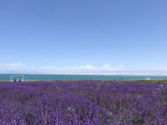 -青海湖国家重点风景名胜区