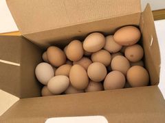 -马陆小张葡萄园农家乐