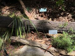 -墨尔本博物馆(Melbourne Museum)