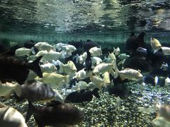 -成都浩海立方海洋公园