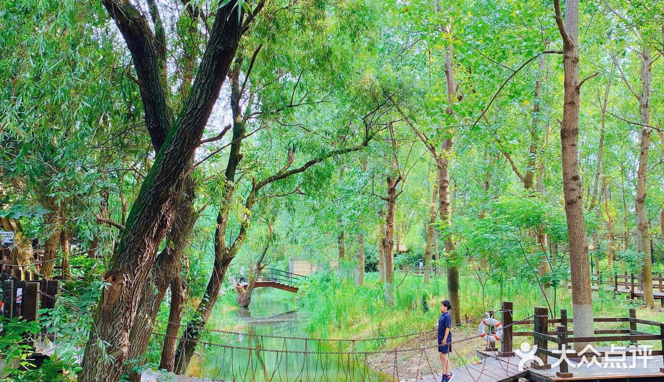 呼吸森林|藏在太湖东山避暑玩乐好地方[胜利]