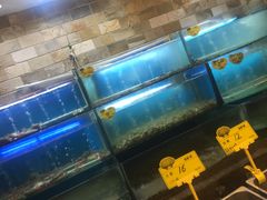 -赶海部落海鲜城(海阳路店)