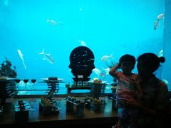 -瑞德姆美人鱼海底演艺主题餐厅(亚龙湾店)