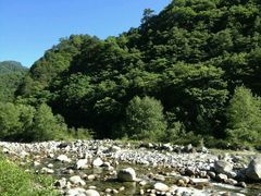 -广元唐家河嘉怡客栈