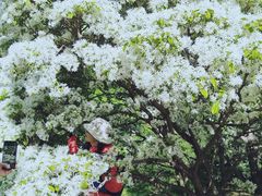 -国家植物园南园